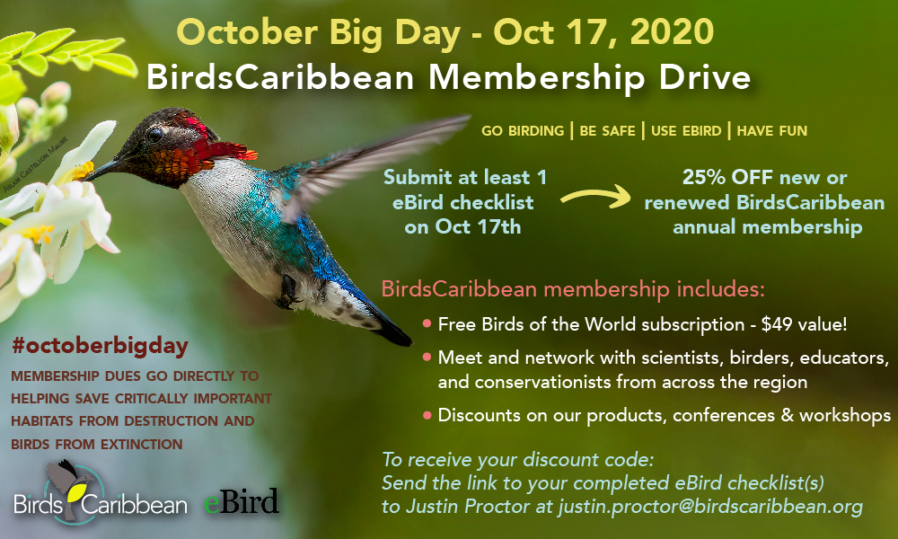 Bird with us on October Big Day and Receive a Discount on your BC