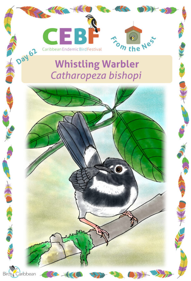 Bird hunter wild wings edition free. download full version apk