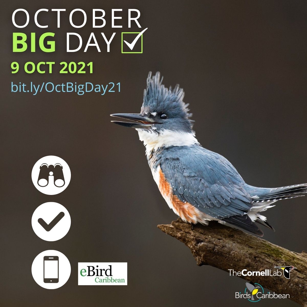 Citizen Scientists Warm up for October Big Day 2021 BirdsCaribbean