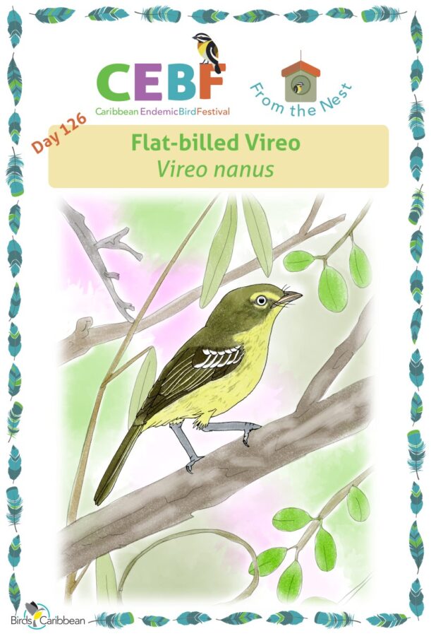 220 Bird singing ideas in 2024  bird, beautiful birds, pet birds