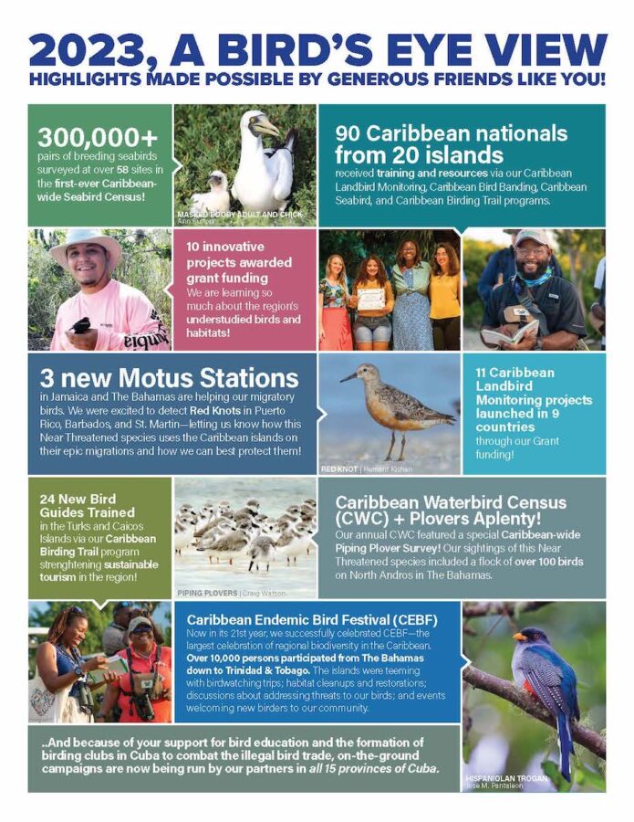 Caribbean Birding Trail – BirdsCaribbean