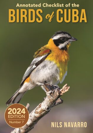Bird Grid Organizer – Nyc N Ezzy