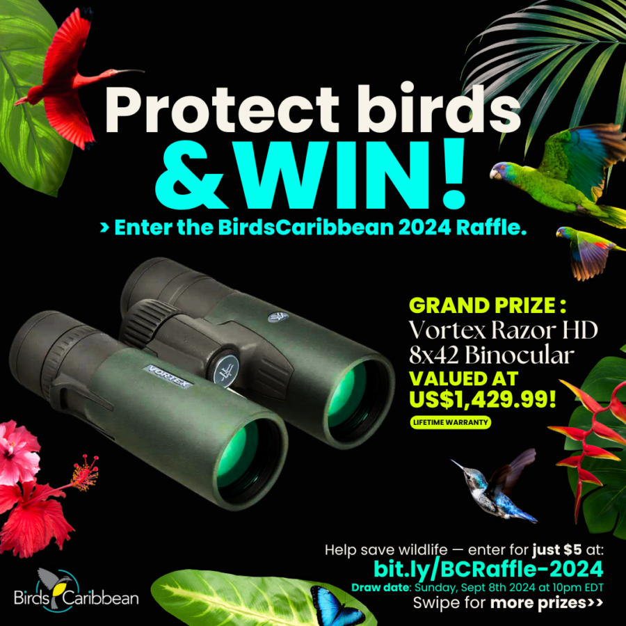 BirdsCaribbean 2024 Raffle Flyer