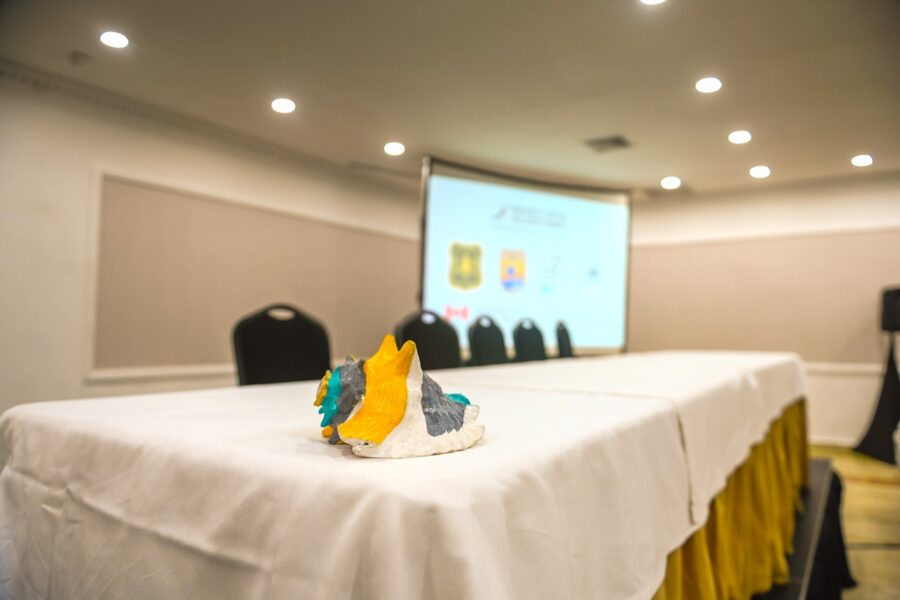 A conch shell painted in BirdsCaribbean colours on top of a table.