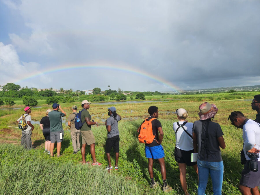 Group at Woodbourne looking at wetland birds