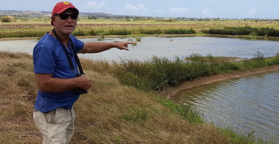 Wayne Burke at Woodbourne Shorebird Refuge