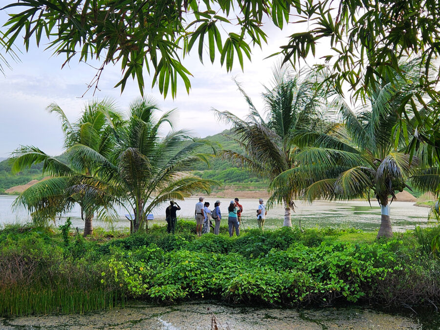 Group of people at a wetland. 