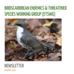 Launching BirdsCaribbean’s Endemic and Threatened Species Working Group First Newsletter!