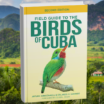 Updating a Classic: Arturo Kirkconnell on the New Edition of Field Guide to the Birds of Cuba and his Life-Long Passion for Birds