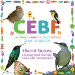 CEBF 2025: Let’s Make Cities and Communities Bird-Friendly!